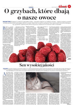 Wydanie główne - strona 11