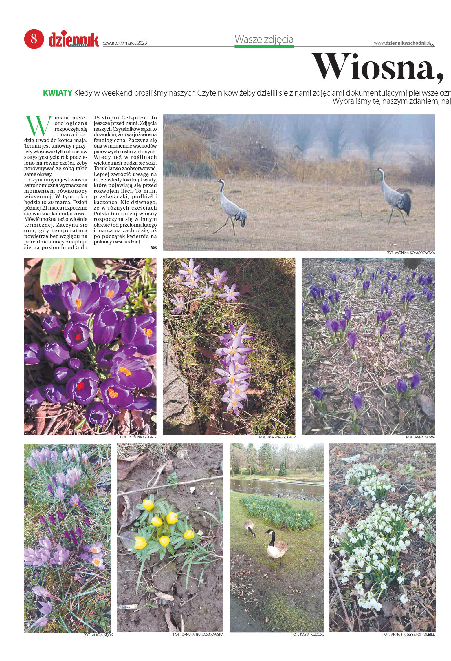 Wydanie główne - strona 8