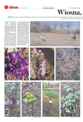 Wydanie główne - strona 8