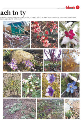 Wydanie główne - strona 9