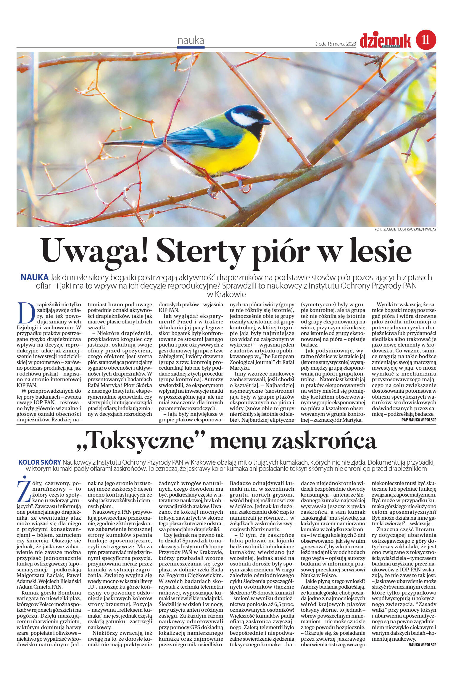 Wydanie główne - strona 11