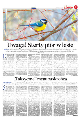 Wydanie główne - strona 11