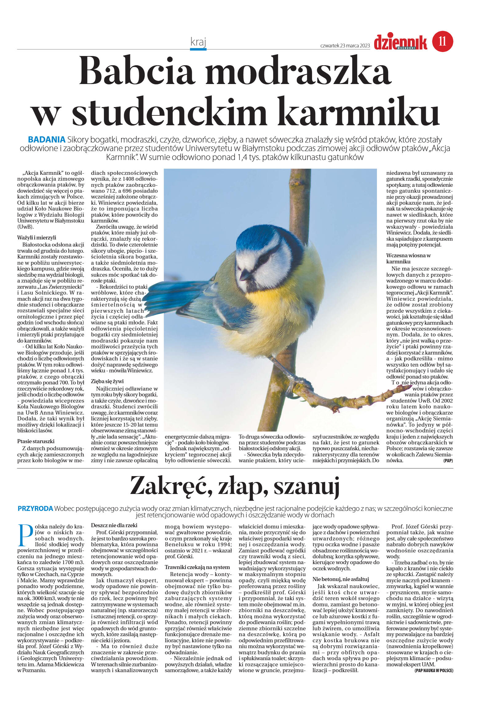 Wydanie główne - strona 11
