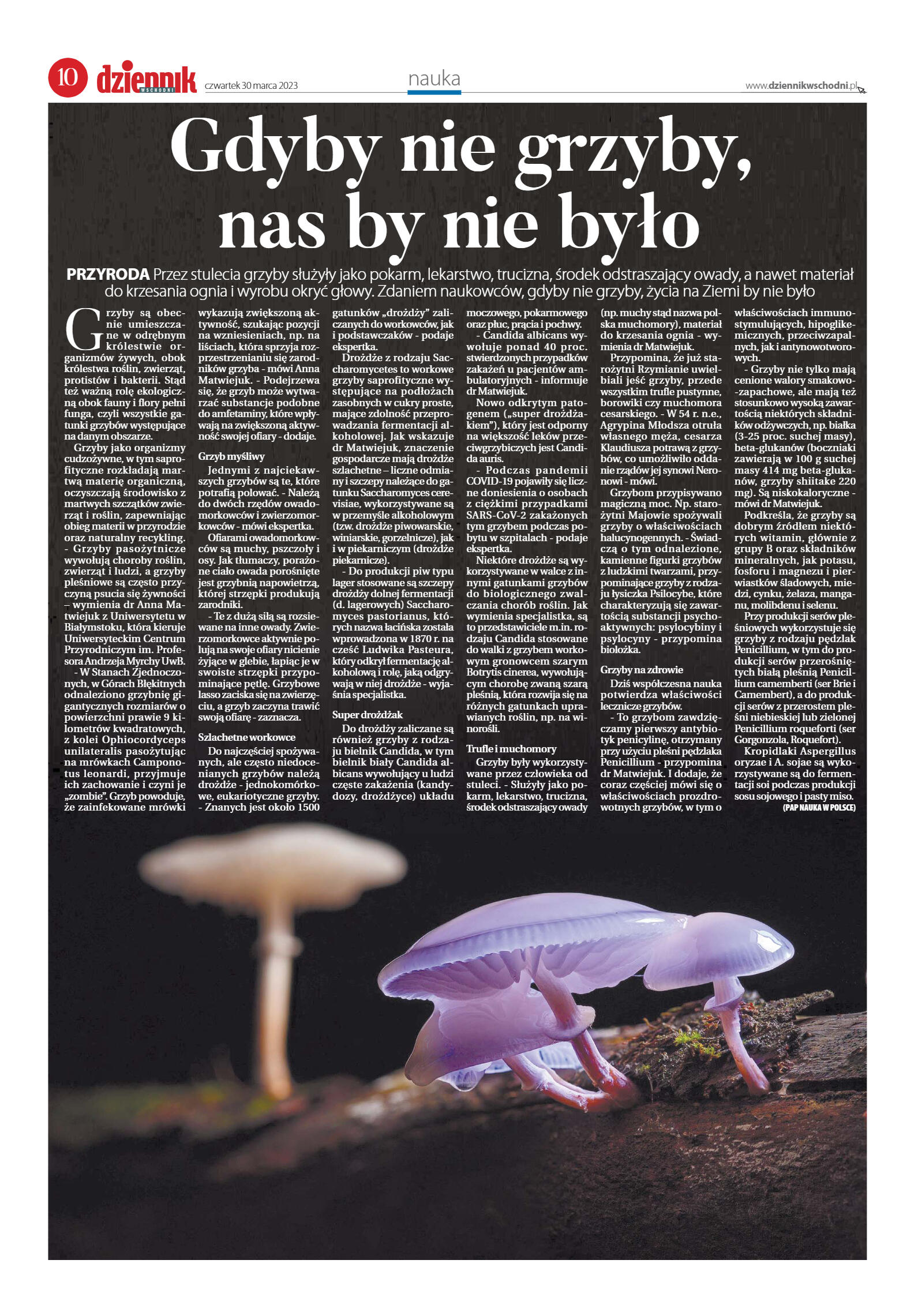 Wydanie główne - strona 10