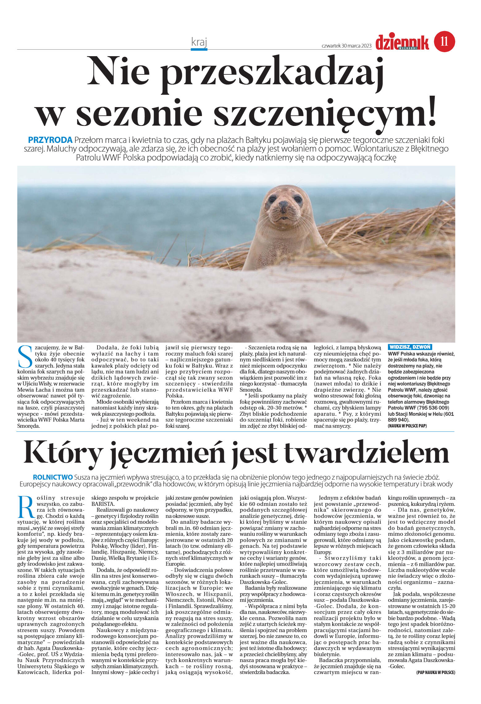 Wydanie główne - strona 11