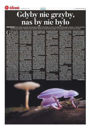 Wydanie główne - strona 10