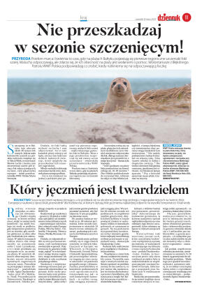 Wydanie główne - strona 11