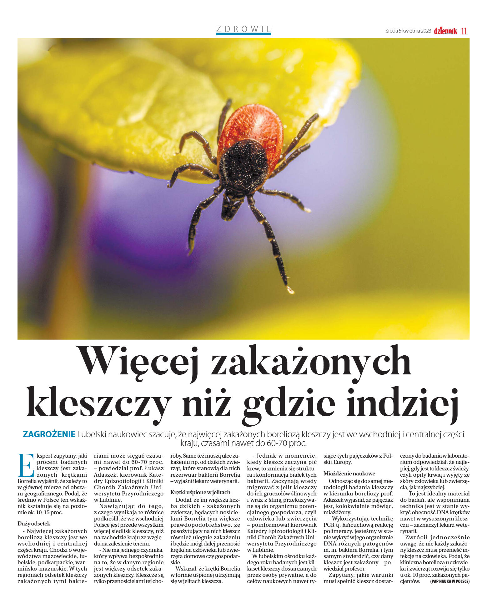 Wydanie główne - strona 11