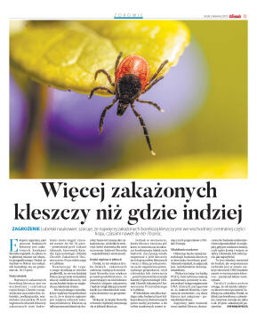 Wydanie główne - strona 11