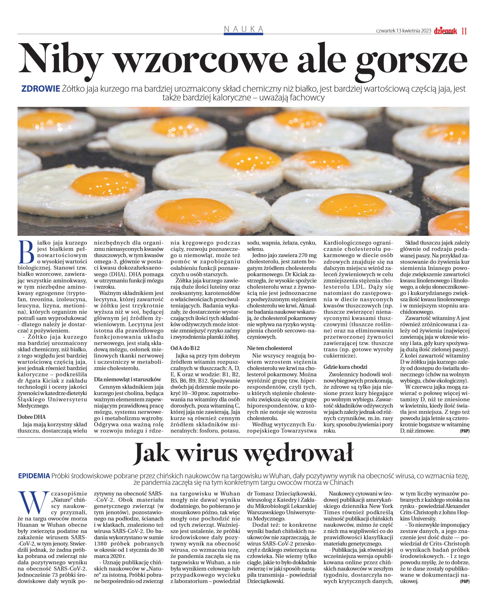 Wydanie główne - strona 11