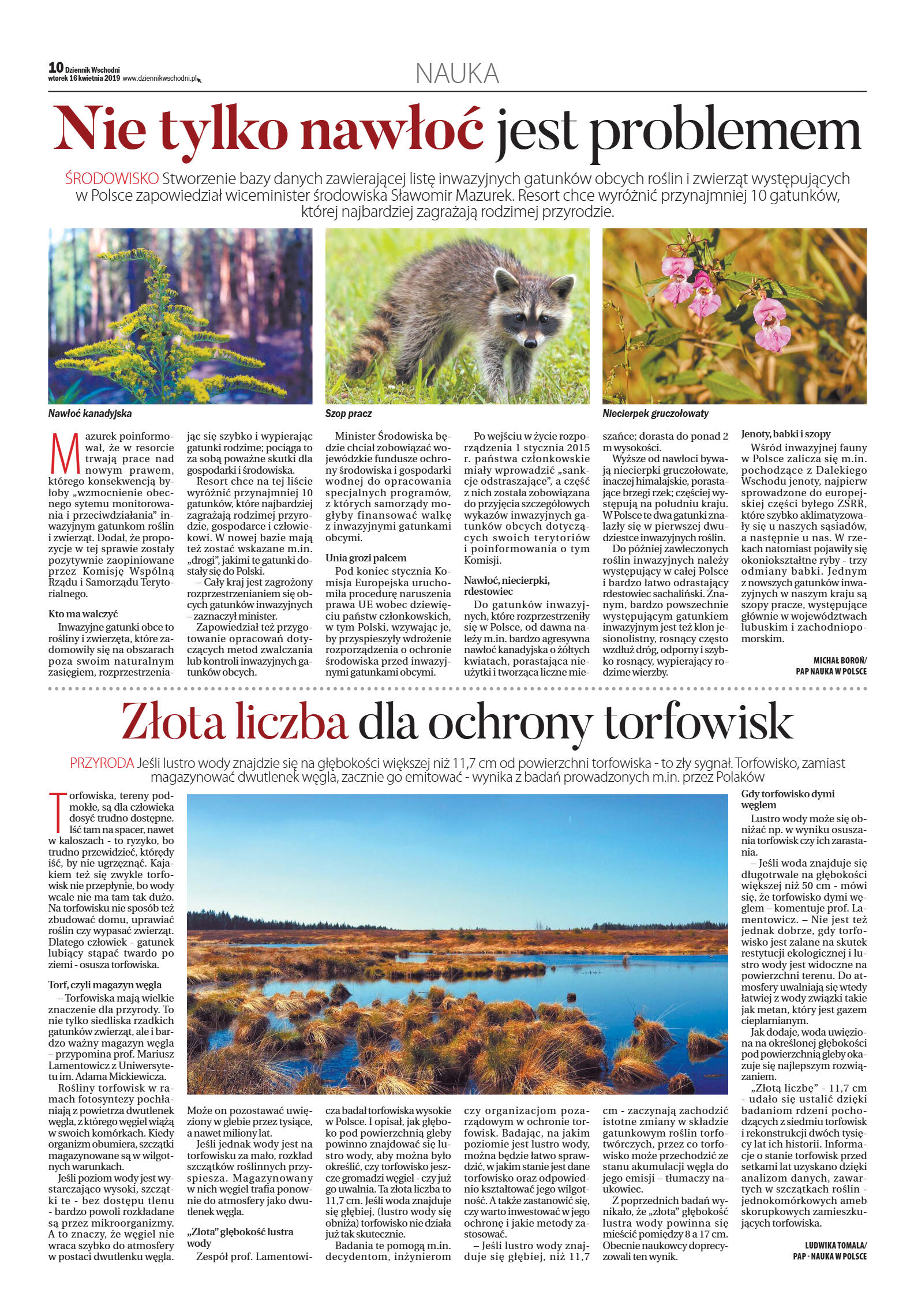 Wydanie główne - strona 10