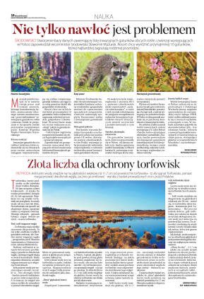 Wydanie główne - strona 10