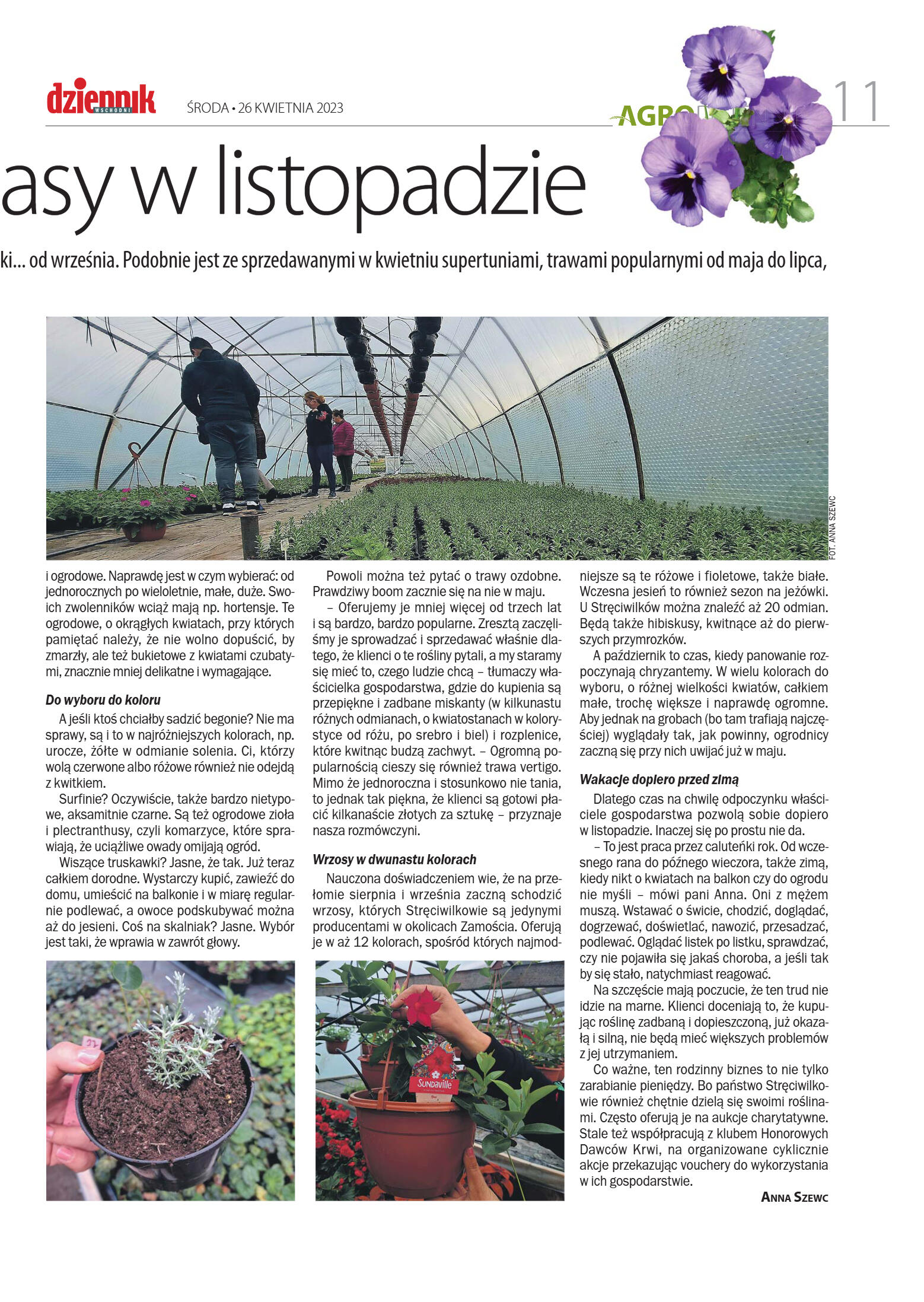 Agro - strona 11