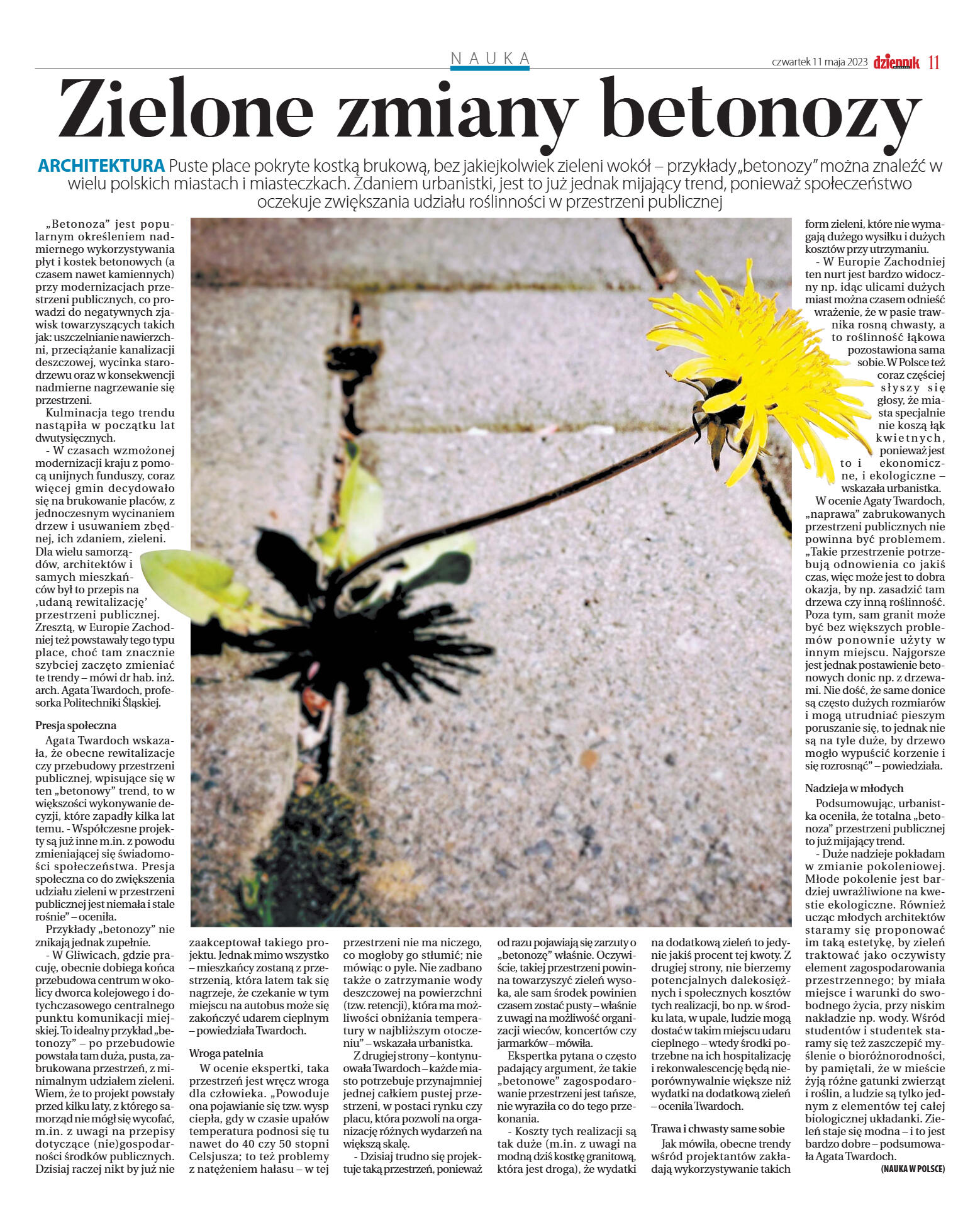 Wydanie główne - strona 11