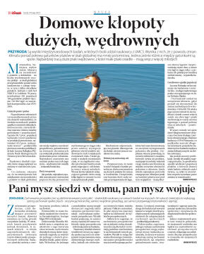 Wydanie główme - strona 10