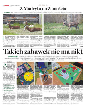 Wydanie główne - strona 10