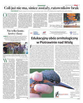 Wydanie główne - strona 7