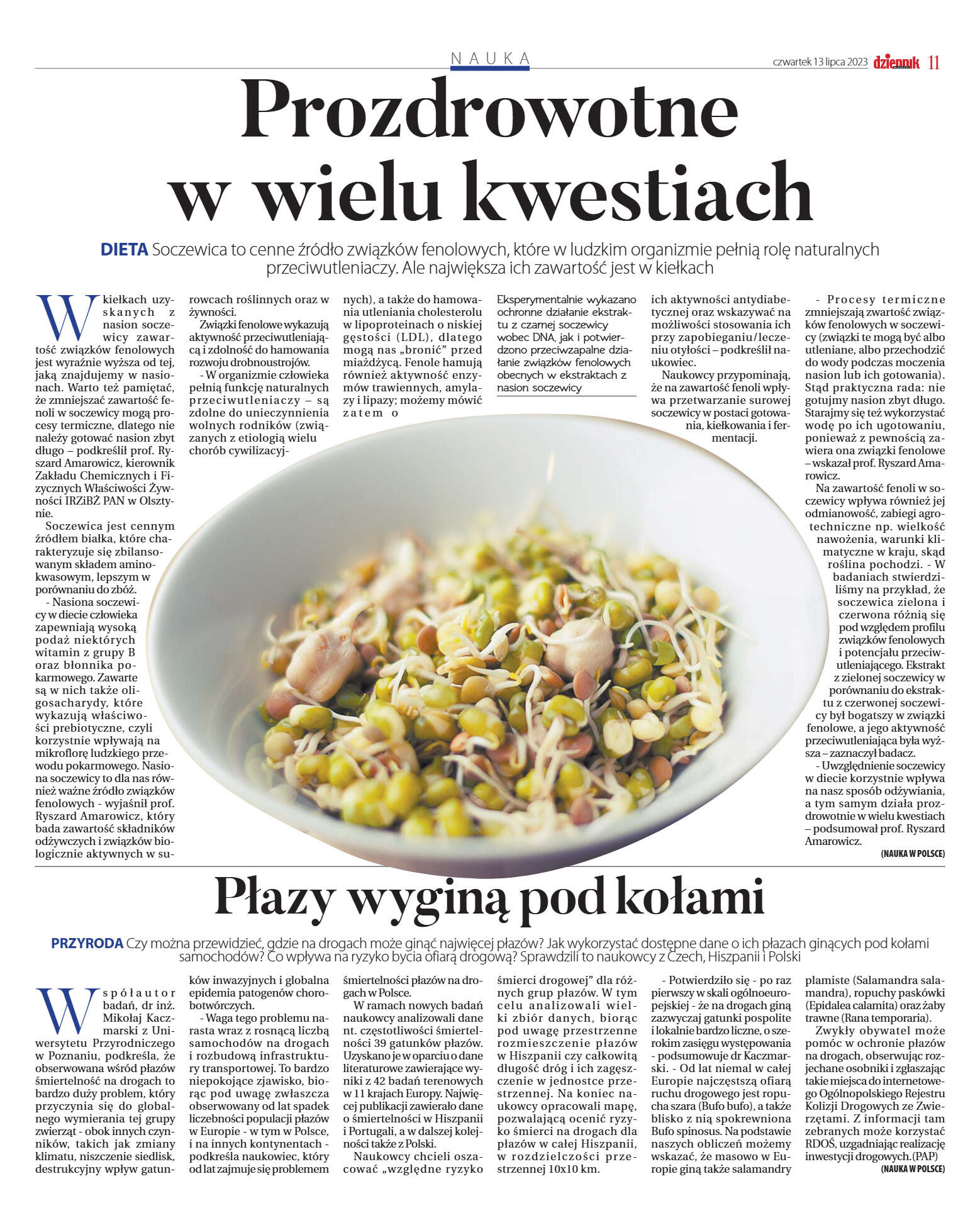 Wydanie główne - strona 11