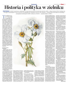 Wydanie główne - strona 11