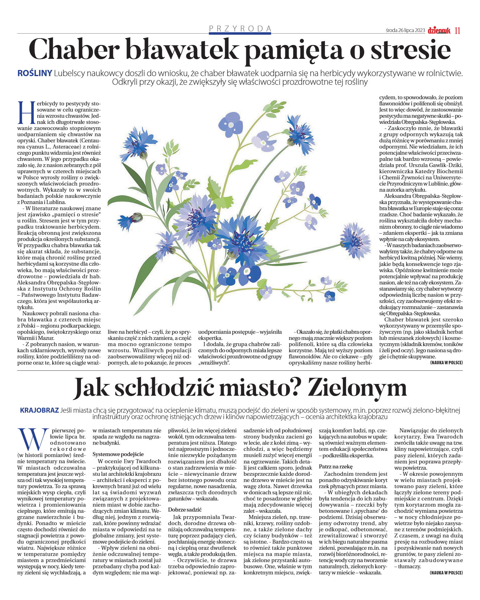 Wydanie główne - strona 11