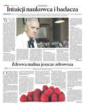 Wydanie główne - strona 10