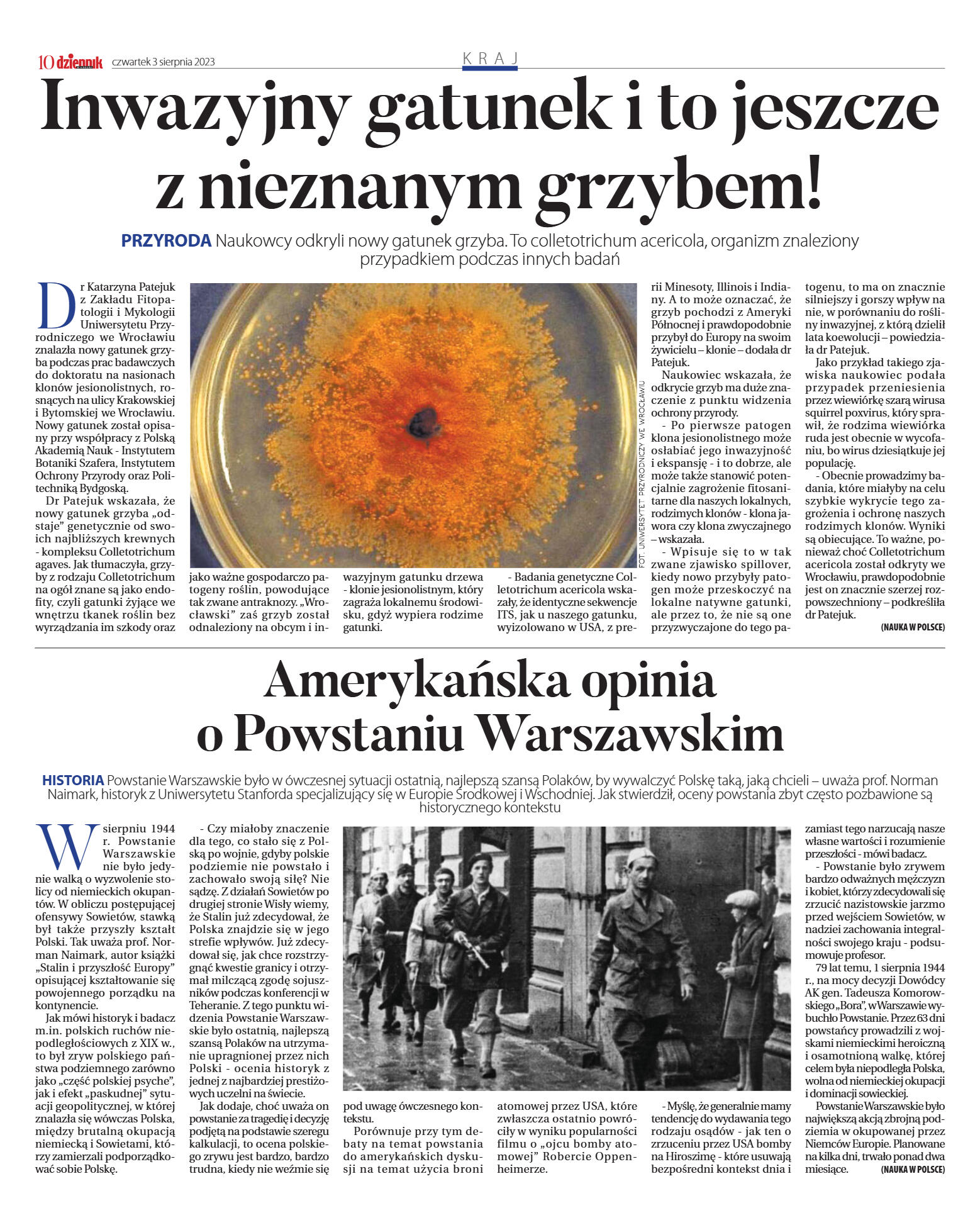 Wydanie główne - strona 10