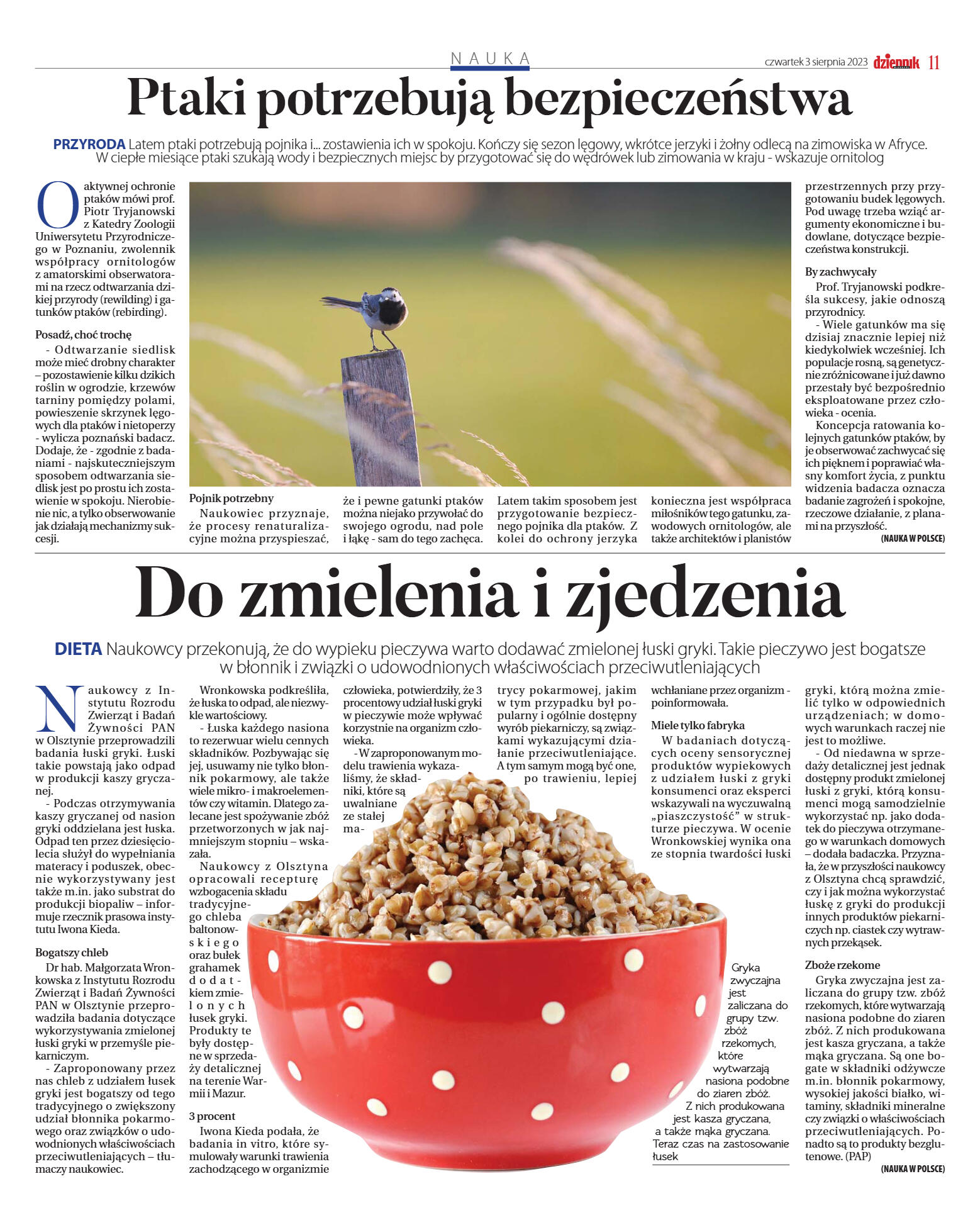 Wydanie główne - strona 11