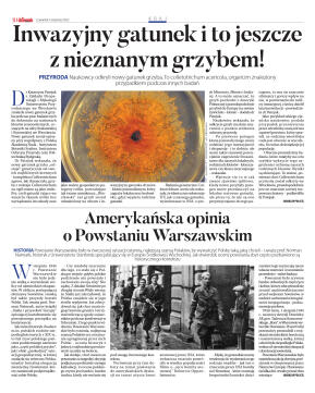 Wydanie główne - strona 10