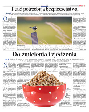 Wydanie główne - strona 11