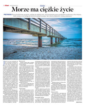 Wydanie główne - strona 8