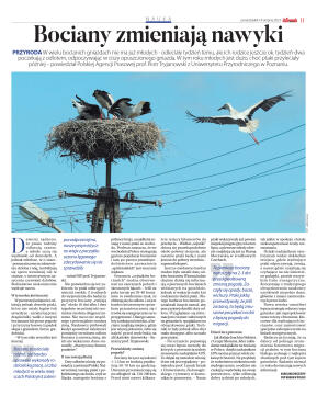 Wydanie glowne - strona 11