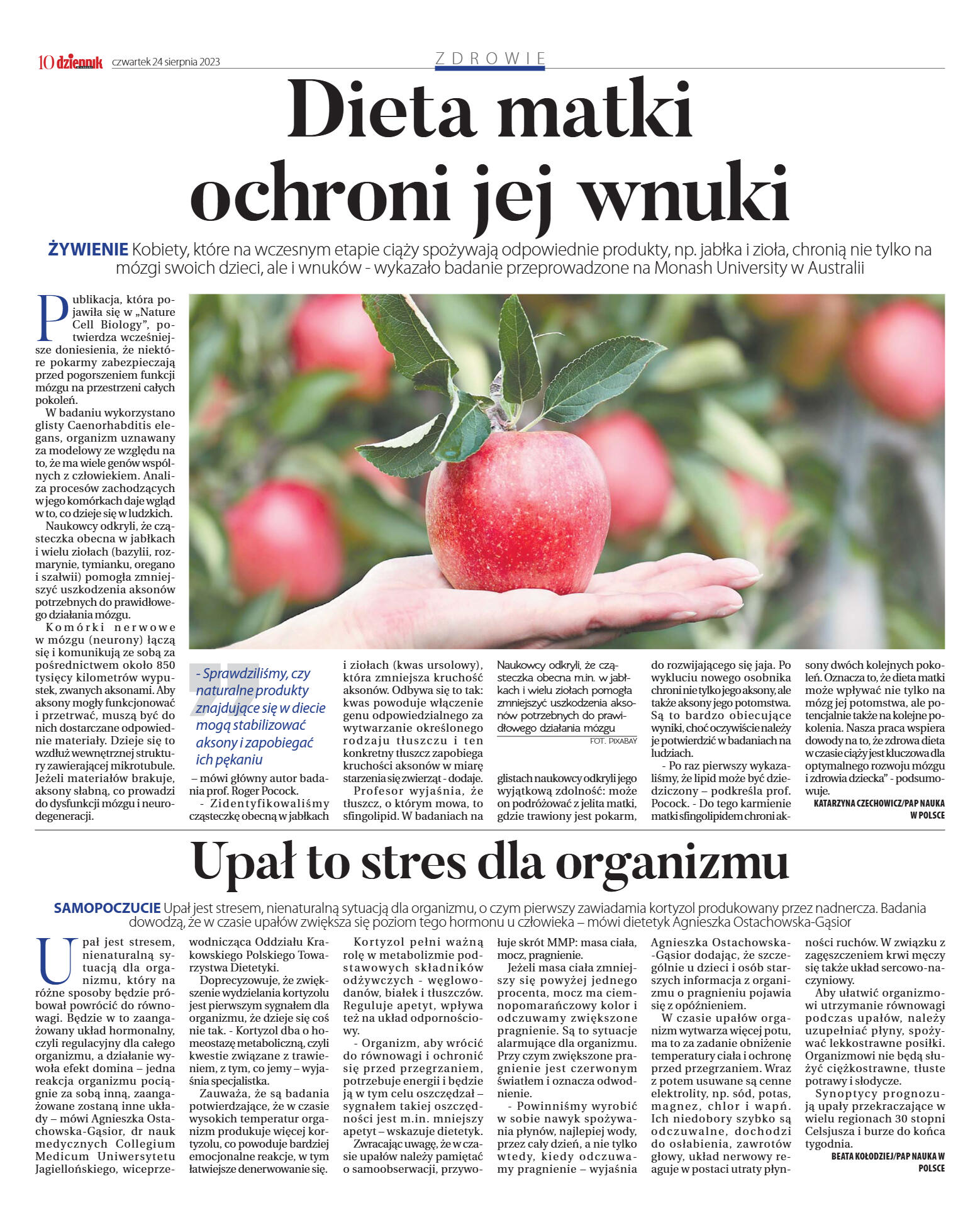 Wydanie główne - strona 10