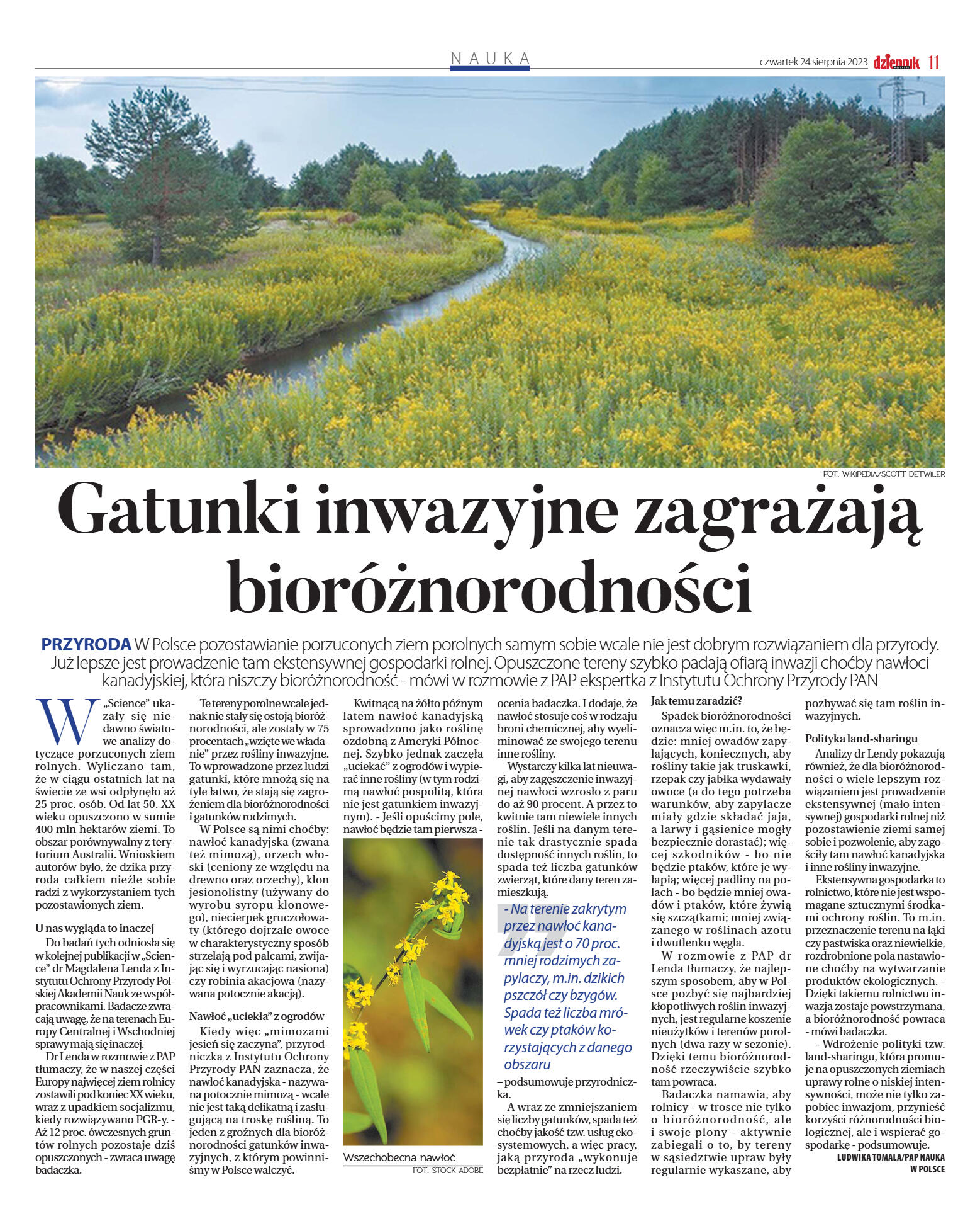 Wydanie główne - strona 11