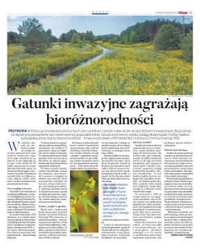 Wydanie główne - strona 11