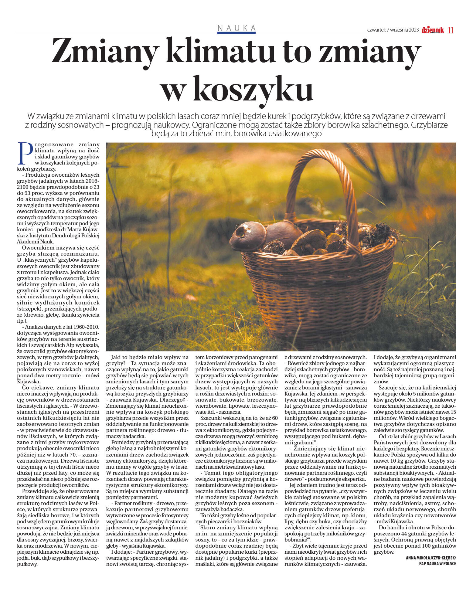 Wydanie główne - strona 11