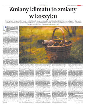 Wydanie główne - strona 11