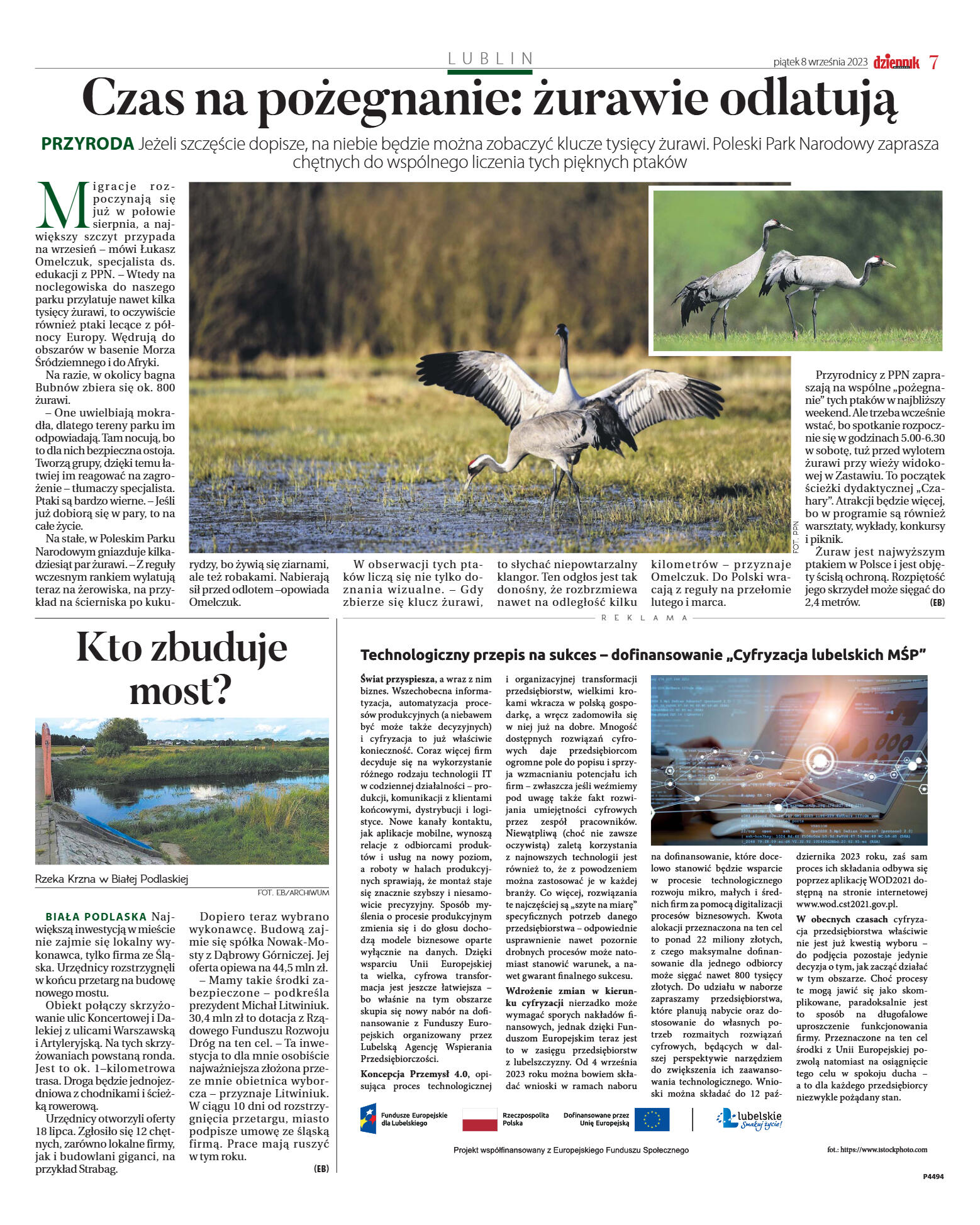 Wydanie główne - strona 7