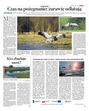 Wydanie główne - strona 7