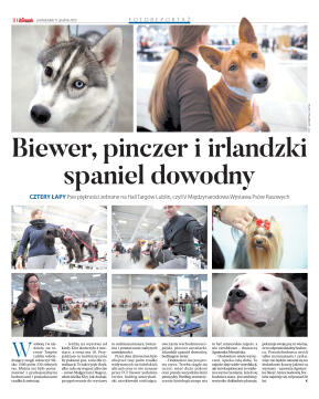 Wydanie główne - strona 10