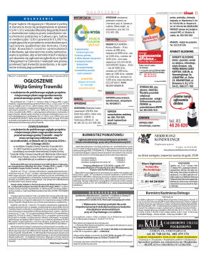 Wydanie główne - strona 13