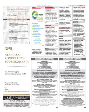 Wydanie główne - strona 13