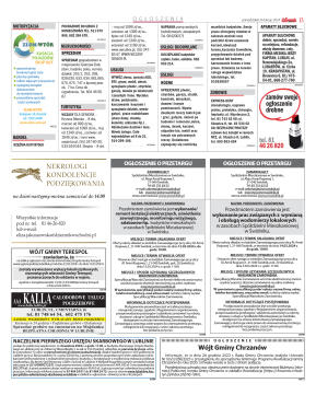 Wydanie główne - strona 13