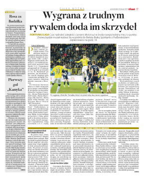 Wydanie główne - strona 17