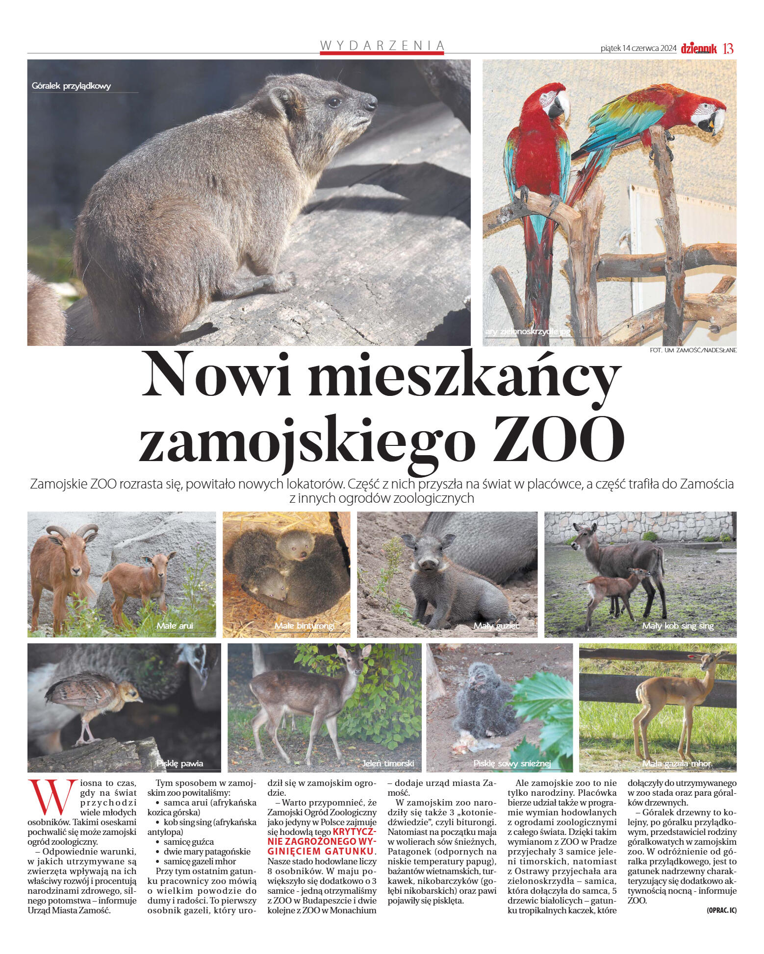 Wydanie główne - strona 13