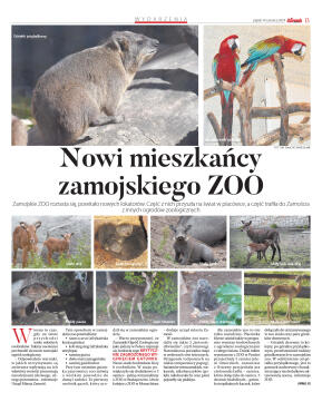 Wydanie główne - strona 13