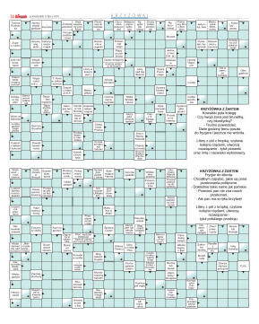 Wydanie główne - strona 14