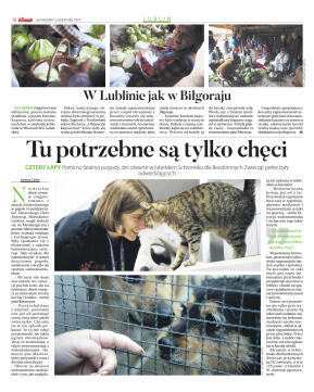 Wydanie główne - strona 8