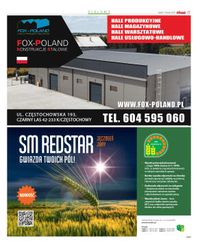 Wydanie główne - strona 17