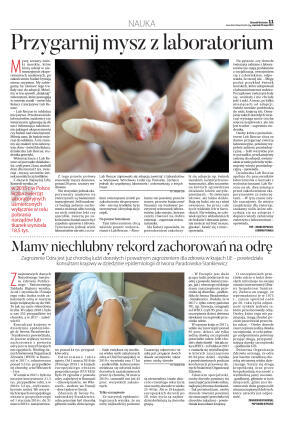 Wydanie główne - strona 11