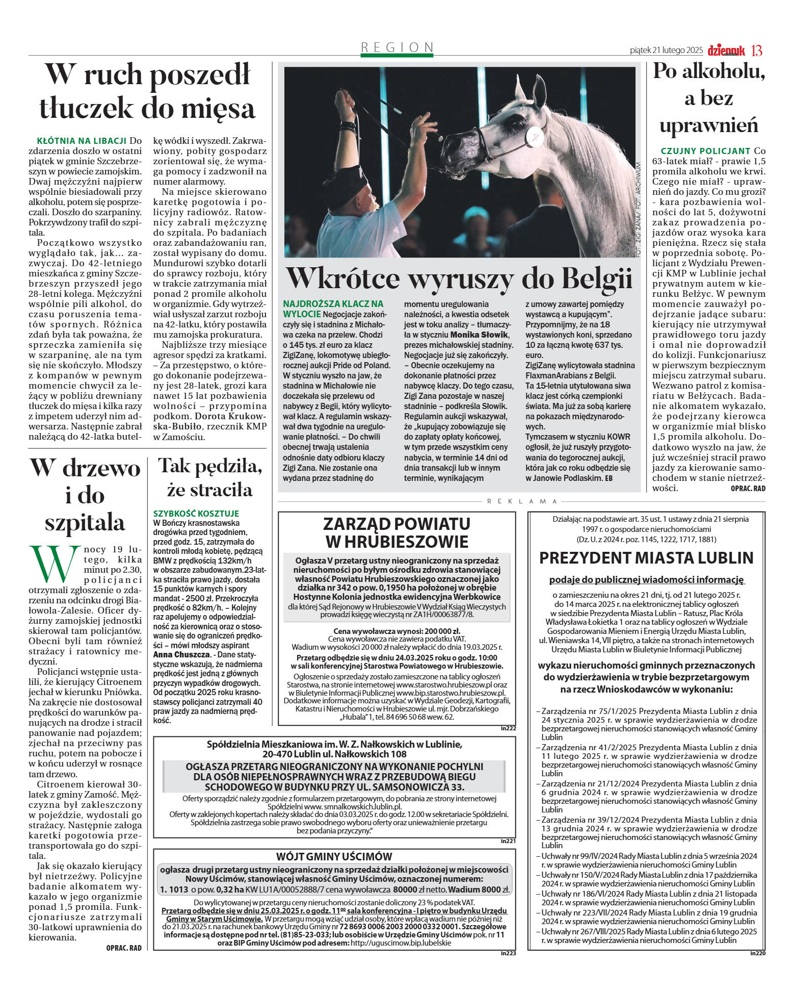 Wydanie główne - strona 13